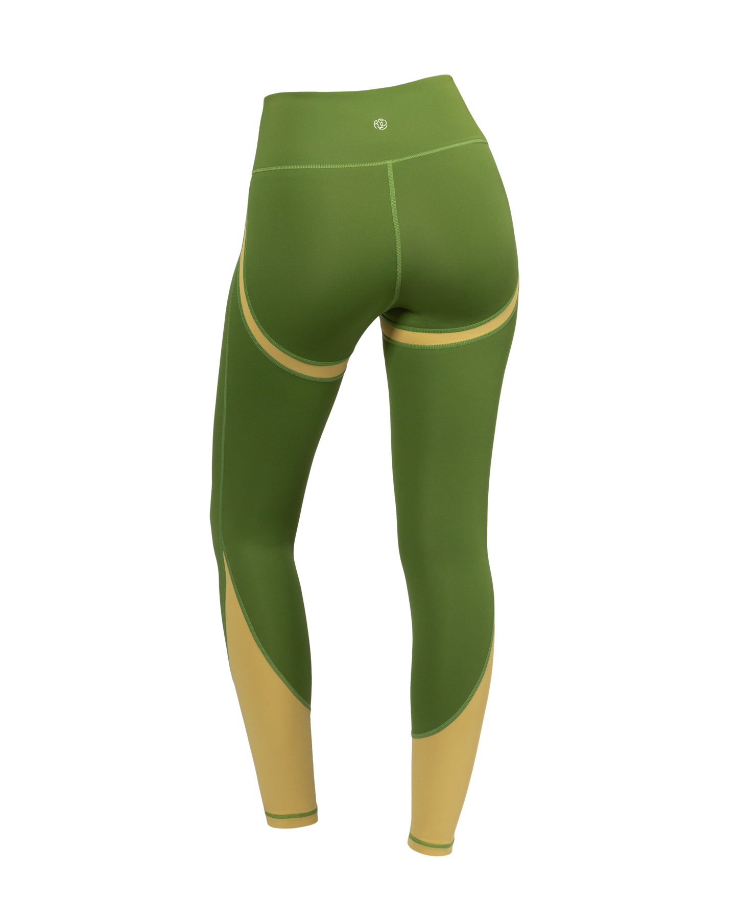 Banana Palm